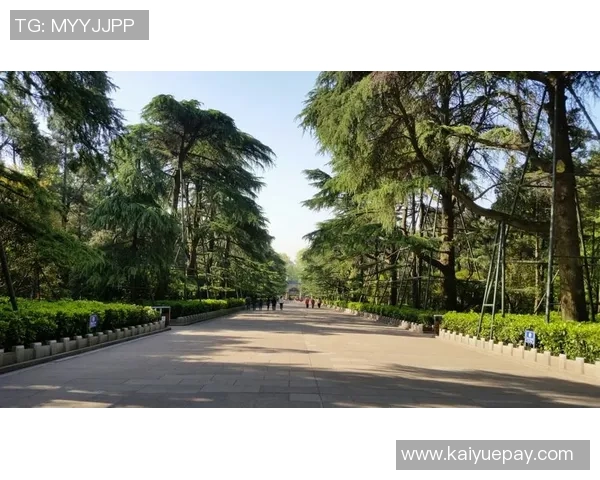 南京极限运动队比赛经验深度对比与分析探讨