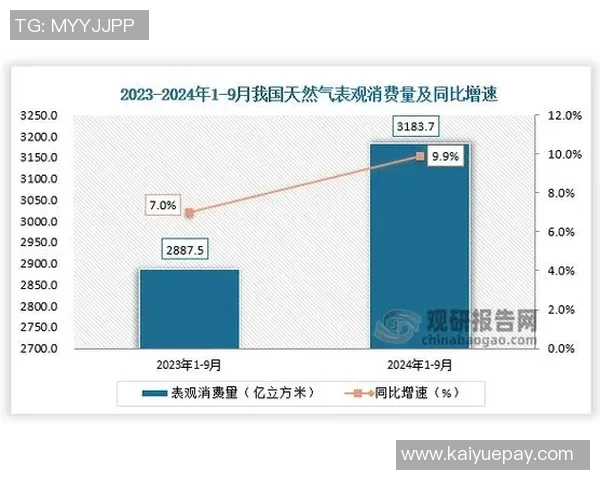 专业分析：液化天然气行业的防守策略与市场应对措施